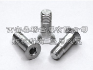 Titanium Derailleur Jockey Wheel Bolt 